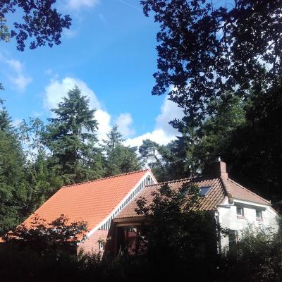 Nieuwe situatie