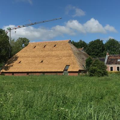 Img 2550
